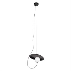 LOFT IT 10237P Black Подвесной светильник Wonders, шт 10237P Black - фото 102310