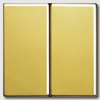 Выключатель двухклавишный, 10 А / 250 В~ Jung LS Gold Золото go2995 - фото 10291