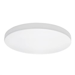 Lightstar Светильник накладной заливающего света со встроенными светодиодами Arco Lightstar 225202 225202 - фото 103018