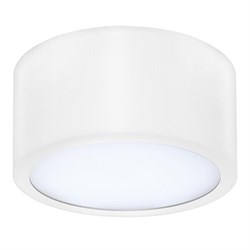 Lightstar Светильник накладной заливающего света со встроенными светодиодами Zolla Lightstar 213916 213916 - фото 103700