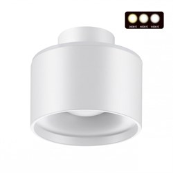 Novotech 358970 OVER NT22 белый Светильник накладной с переключ. цв. температуры IP20 LED 3000К\4000К\6000К 12W вниз + 3W вверх 110-265V GIRO 358970 - фото 104069