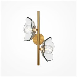 Maytoni Miracle Настенный светильник (бра) Латунь MOD207WL-02BS - фото 107899