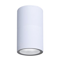 Arte Lamp A3302PF-1WH Уличный светильник MISTERO A3302PF-1WH - фото 109234