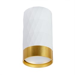 Arte Lamp A5558PL-1WH FANG Точечный накладной светильник GU10 A5558PL-1WH - фото 109920