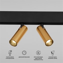 Elektrostandard 85056/01 Slim Magnetic Умный трековый светильник 14W 2700-6500K Dim Dual (латунь) a063527 a063527 - фото 111292