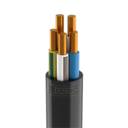 Кабель силовой с ПВХ изоляцией ВВГнг(A) -LS 5х10 ок(N,PE)-0,66 Кабэкс - фото 126104