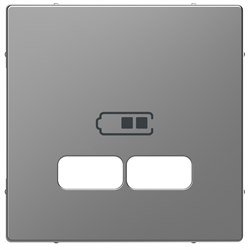 SE Merten D-Life Нержавеющая Сталь Накладка центральная для USB механизма 2,1А (MTN4367-6036) - фото 41240