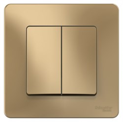 Blanca внутренняя титан переключатель 2-клавишный, 10А, 250B BLNVS106604 - фото 72382