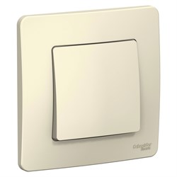 Blanca внутренняя молочная переключатель 1-клавишный, 10А, 250B BLNVS010602 - фото 72435