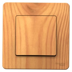 Blanca внутренняя ясень выключатель 1-клавишный, 10А, 250B BLNVS010105 - фото 72486