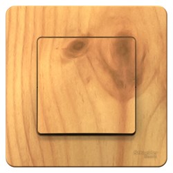 Blanca внутренняя ясень переключатель 1-клавишный, 10А, 250B BLNVS010605 - фото 72489