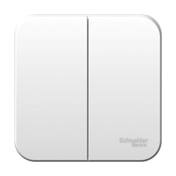 Blanca наружняя белый выключатель 2-клавишный 10А, 250B, изолированная пластина BLNVA105011 - фото 72518