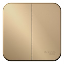 Blanca наружняя титан выключатель 2-клавишный 10А, 250B, изолированная пластина BLNVA105014 - фото 72685