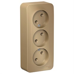 Blanca наружняя титан розетка 3-ая без заземления без шторок 16А, 250В, изолированная пластина BLNRA000314 - фото 72688