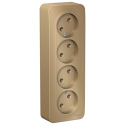 Blanca наружняя титан розетка 4-ая без заземления без шторок 16А, 250В, изолированная пластина BLNRA000414 - фото 72690