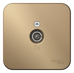 Blanca наружняя титан розетка TV, изолированная пластина BLNTA000014 - фото 72694