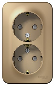 Blanca наружняя титан розетка 2-ая с заземлением, со шторками, 16А, 250В BLNRA011204 - фото 72696