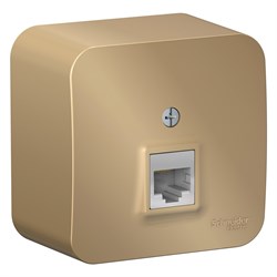 Blanca наружняя титан розетка компьютерная RJ45, кат.5E, изолированная пластина BLNIA045004 - фото 72717