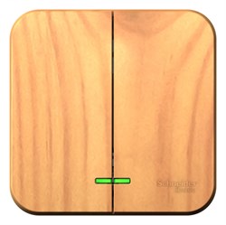 Blanca наружняя ясень выключатель 2-клавишный с подсветкой 10А,250B, изолированная пластина BLNVA105115 - фото 72728