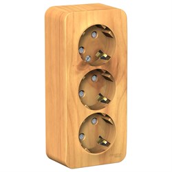 Blanca наружняя ясень розетка 3-ая с заземлением, со шторками 16А, 250В, изолированная пластина BLNRA011315 - фото 72742