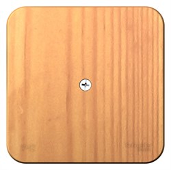 Blanca наружняя ясень коробка распределительная BLNRK000015 - фото 72745