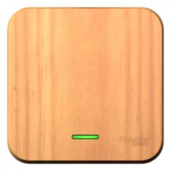 Blanca наружняя ясень выключатель 1-клавишный с подсветкой, 10А, 250B BLNVA101105 - фото 72749