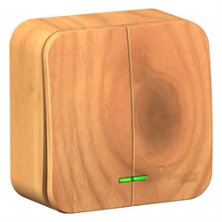 Blanca наружняя ясень выключатель 2-клавишный с подсветкой, 10А, 250B BLNVA105105 - фото 72750