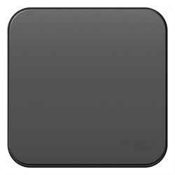 Blanca наружняя антрацит выключатель 1-клавишный 10А, 250B, изолированная пластина BLNVA101016 - фото 72774