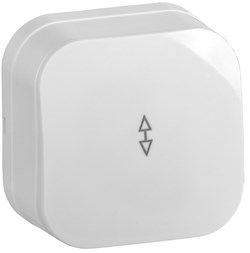 IEK GLORY ВСп10-1-0-ХБ Выключ. 1-кл. проход. о/у 10А GLORY белый EVH12-K01-10 - фото 75141