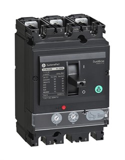 Systeme Electric Автоматический Выключатель SYSTEMEPACT CCB250 100KA 3P3D TMD250 рычаг SPC250S250L3DF - фото 80337