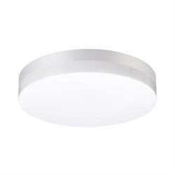 Novotech 358885 STREET NT22 белый Светильник ландшафтный светодиодный IP54 LED 4000К 30W 220V OPAL 358885 - фото 93366