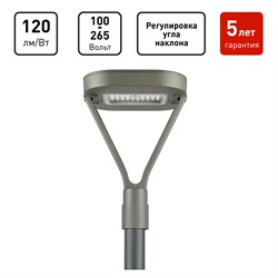 Светильник светодиодный садово-парковый ЭРА SPP-505-0-30K-050 50Вт 6000лм 3000K IP65 КСС Д серый Б0062697 - фото 93677