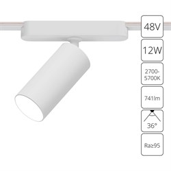 Arte Lamp A2958PL-1WH СВЕТИЛЬНИК ПОТОЛОЧНЫЙ RAPID 48В 12Вт макс 741kv 2700-6500К 95+ 36° smart A2958PL-1WH - фото 94750
