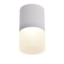 Favourite Потолочный светильник Naram D64*H110 LED*5W, 400LM, 4000K, IP20 3069-1C 3069-1C - фото 95030