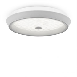 Freya LED Market Белый Светильник потолочный FR10012CL-L24W - фото 95389