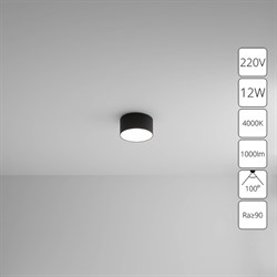 Arte Lamp A6612PL-1BK СВЕТИЛЬНИК ПОТОЛОЧНЫЙ FADO 115мм 12Вт 960Лм 4000К A6612PL-1BK - фото 95403
