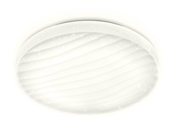 Ambrella Потолочный светодиодный светильник с пультом FF19 WH белый 48W D400*80 (ПДУ ИК) FF19 - фото 96085