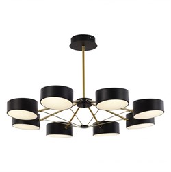 Evoluce SLE6005-402-08 светильник потолочный чёрный / чёрный LED 8*10W SLE6005-402-08 - фото 96772