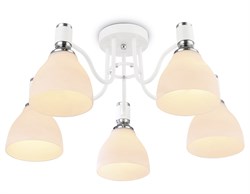 Ambrella Светильник потолочный TR303305/5 WH/CH/FR белый/хром/белый матовый E27*5 max 60W D600*270 TR303305 - фото 96869