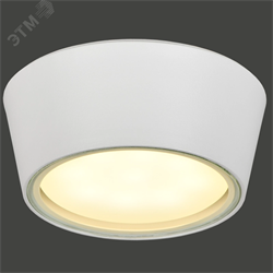 Светильник уличный 5104 GX53 IP65 потолочный бел. IEK LT-UPU0-5104-GX53-1-K01 pe805183 - фото 96910