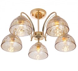 Rivoli Люстра Terri 9172-305 5 х Е27 40 Вт модерн Б0060989 - фото 96934