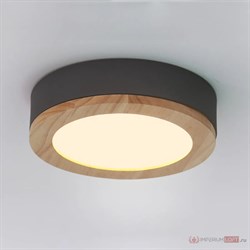 ImperiumLoft Потолочная люстра WUDDA D50 Серый 141163-26 - фото 98774