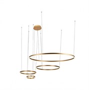 LOFT IT 10017/4L Светильник подвесной Ring, шт 10017/4L LOFT IT 10017/4L Светильник подвесной Ring, шт 10017/4L