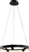 Rivoli Светильник подвесной (подвес) Selena 6147-101 LED 77 Вт 3000 - 6000 К с пультом Б0062238