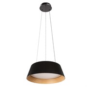 LOFT IT 10224P Black Подвесной светильник Evans, шт 10224P Black