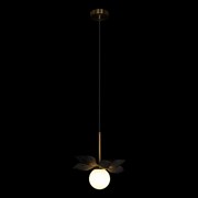 LOFT IT 10213/B Black Подвесной светильник Monro, шт 10213/B Black