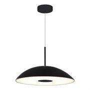 ST LUCE SL6128.403.01 Светильник подвесной Черный/Черный LED 1*24W 3000K SL6128.403.01