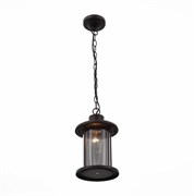 ST LUCE SL080.403.01 Светильник уличный подвесной  Темный кофе/Прозрачный, Темный кофе E27 1*60W SL080.403.01 ST LUCE SL080.403.01 Светильник уличный подвесной  Темный кофе/Прозрачный, Темный кофе E27 1*60W SL080.403.01