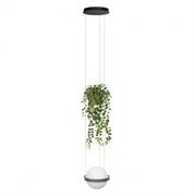 LOFT IT 10121/1P Dark grey Подвесной светильник Jardin 10121/1P Dark grey LOFT IT 10121/1P Dark grey Подвесной светильник Jardin 10121/1P Dark grey