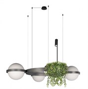 LOFT IT 10121/3 Dark grey Подвесной светильник Jardin 10121/3 Dark grey LOFT IT 10121/3 Dark grey Подвесной светильник Jardin 10121/3 Dark grey